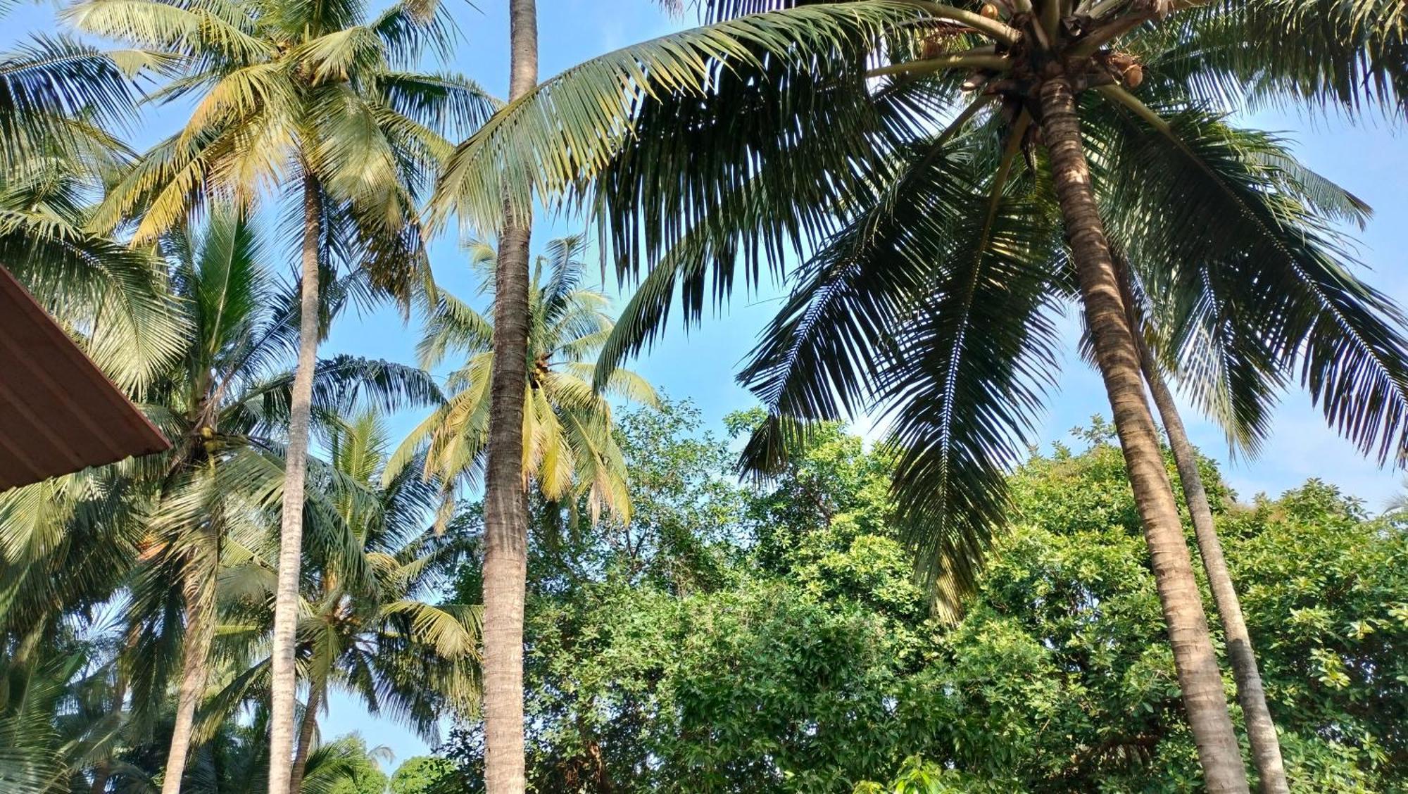 Dhruv Guest House Calangute Exterior foto